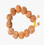 Five Face Rudraksha Bracelet