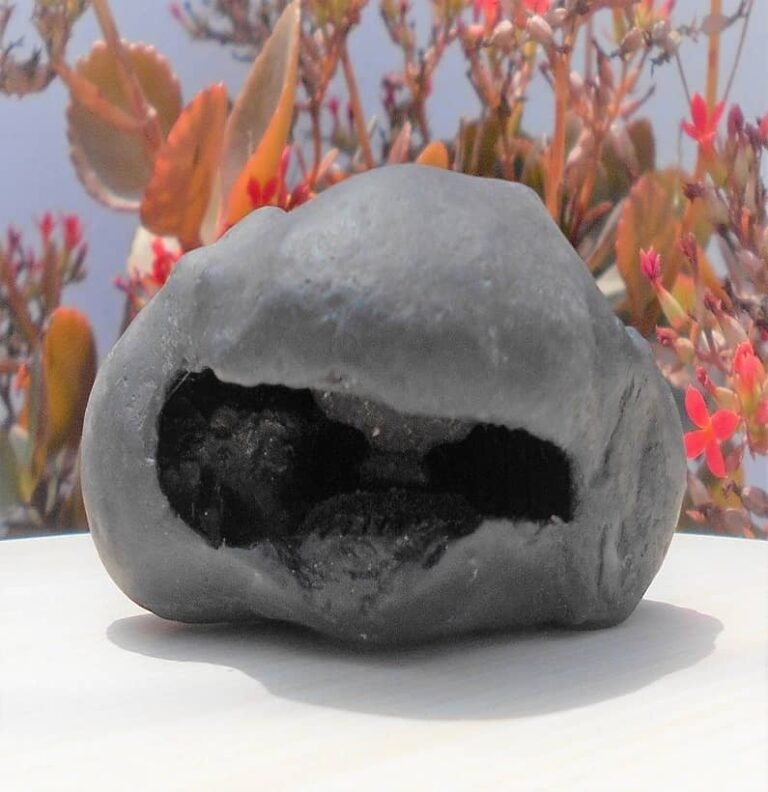 Lakshmi Narayan Shaligram