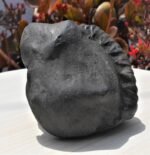 Lakshmi Narayan Shila