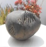 Laxmi Narayan Fossilized Stone