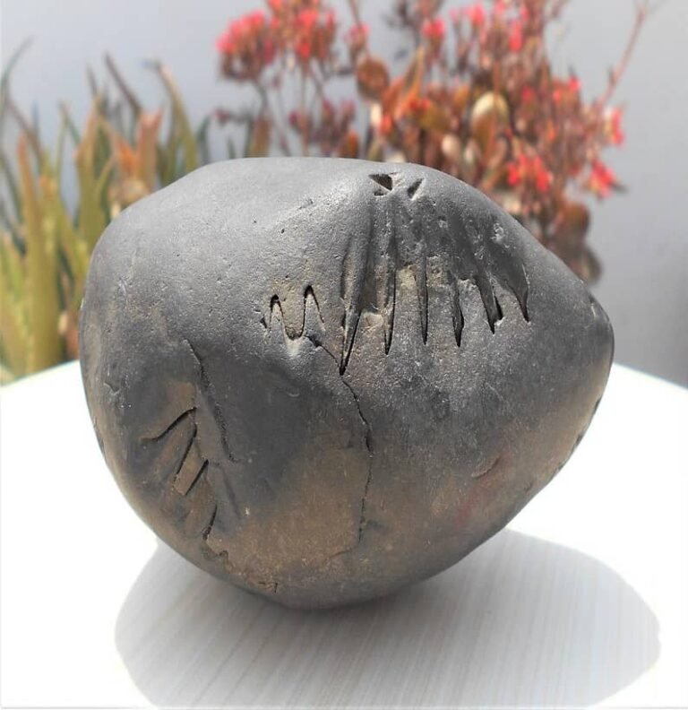 Laxmi Narayan Fossilized Stone