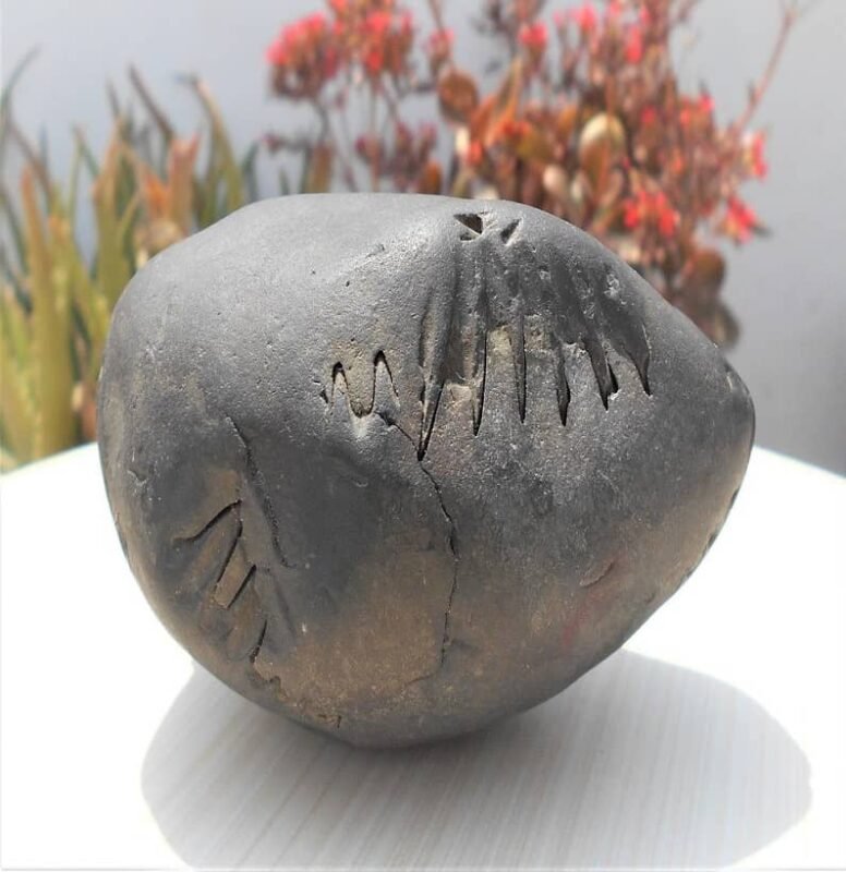 Laxmi Narayan Fossilized Stone