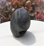 Narashimha Fossilized Stone