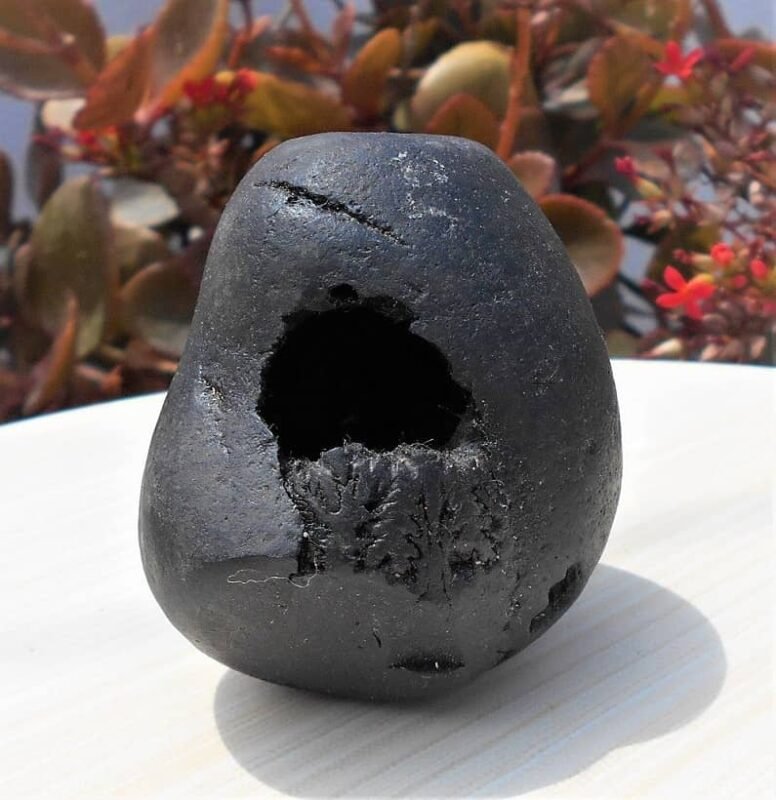 Narashimha Shaligram