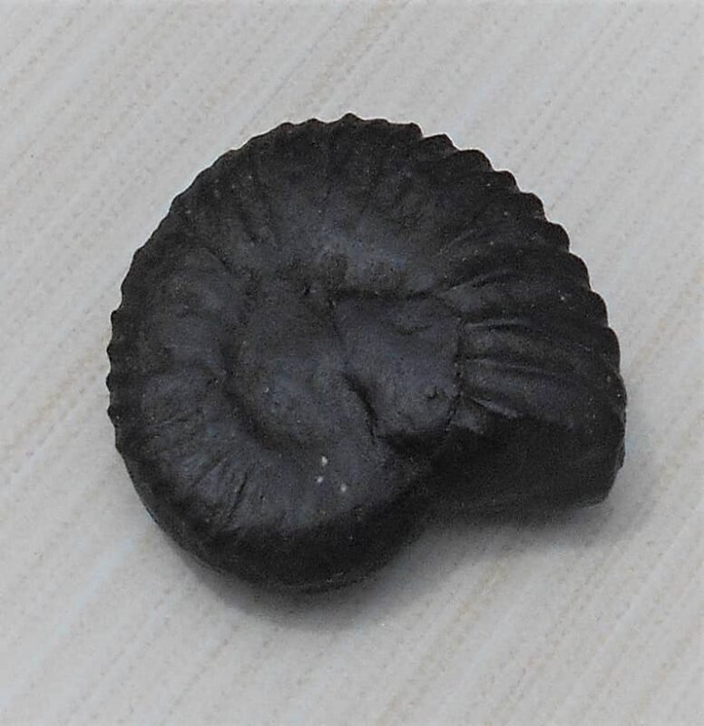 Navi Sudarshan Chakra Shaligram