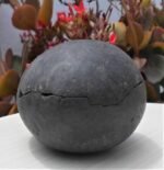 Open Sudarshan Chakra Ammonite