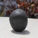 Round Shaligram