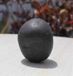 Round Shaligram