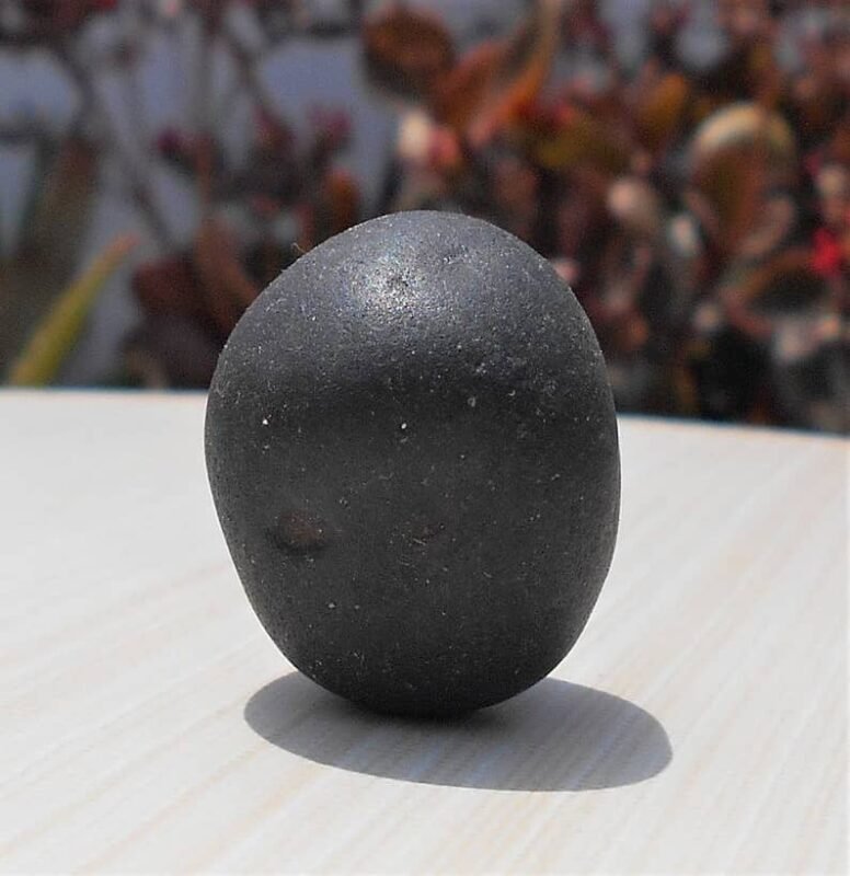 Round Shaligram
