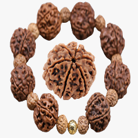 Rudraksha Categories