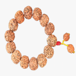 Rudraksha Bracelets