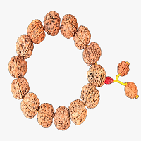 Rudraksha-Bracelets