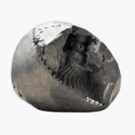 Shaligram