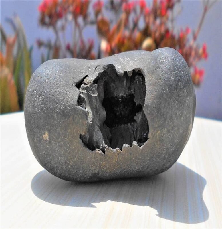 Sudarshan Chakra Laxmi Narayan Shaligram