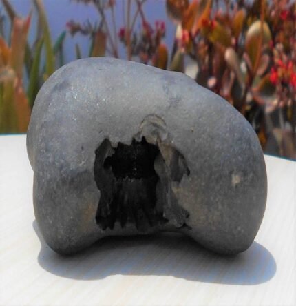 Sudarshan Chakra Laxmi Narayan Sila