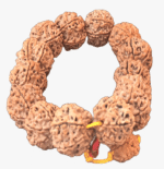 6 Face Rudraksha Bracelet