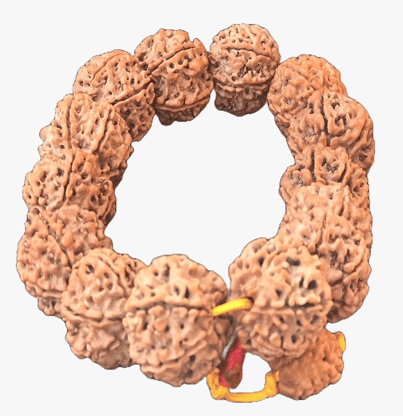 6 Face Rudraksha Bracelet