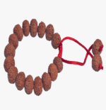 7 Face Rudraksha Bracelet