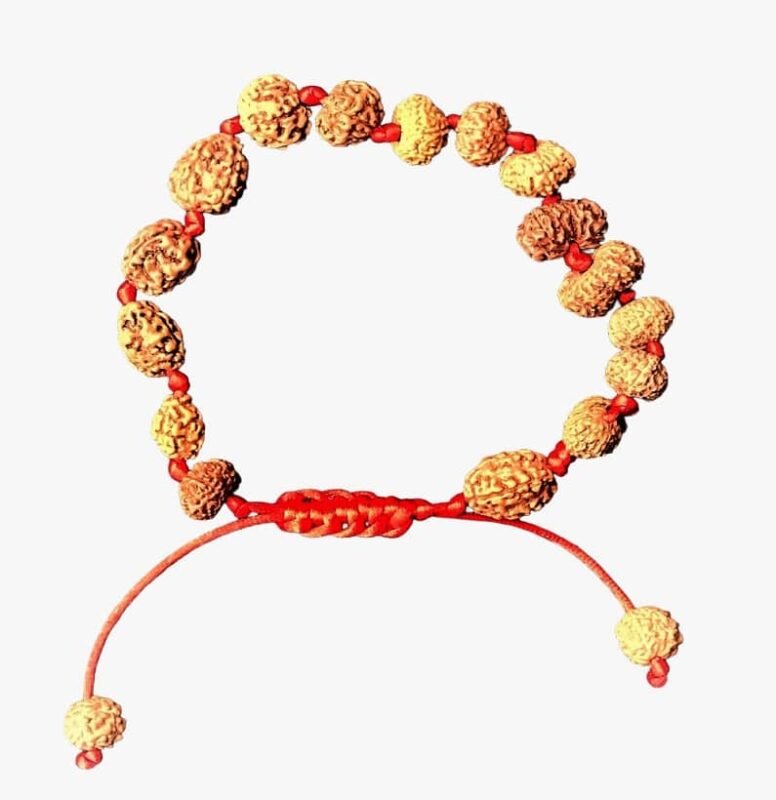 1–14-Mukhi Siddha Rudraksha Bracelet