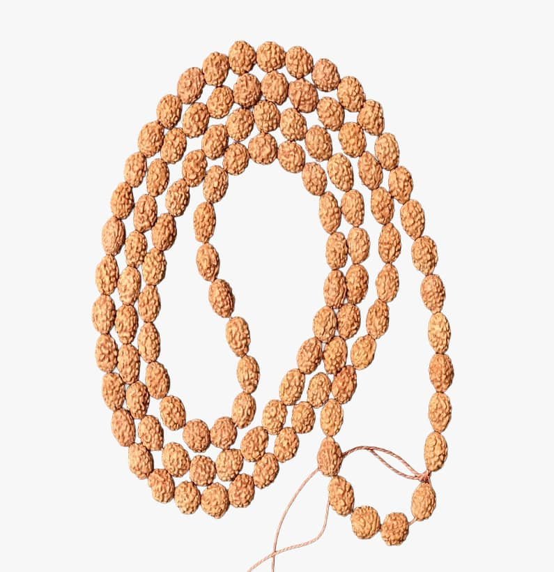 4 Mukhi Rudraksha Mala 4 Mukhi Rudraksha Mala