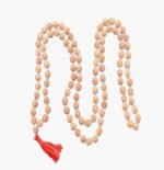 5 Mukhi Semi Pathari