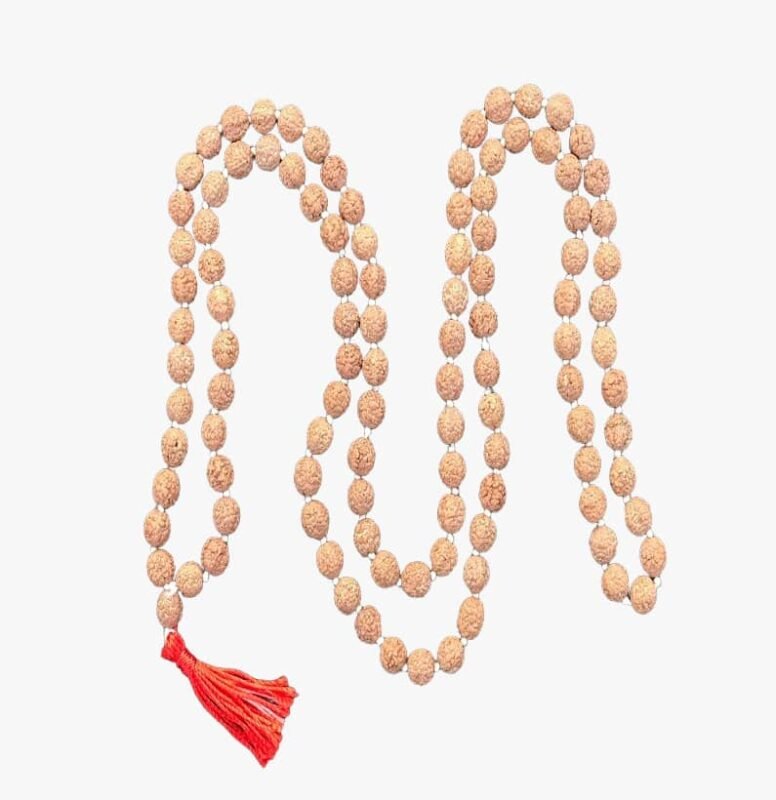 5 Mukhi Semi Pathari