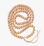 6 Mukhi Rudraksha Mala