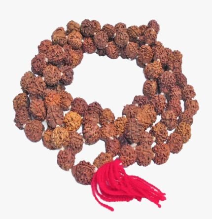 Nepali 3 Mukhi Rudraksha Mala 108 Beads