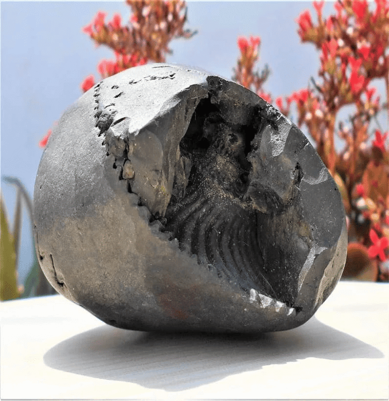 Sacred Shaligram Stone – Meaning, Importance & How to Keep at Home