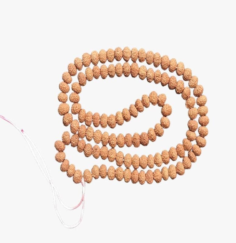 Ten Face Rudraksha Rosary