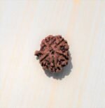 Ganesh Nepali Rudraksha
