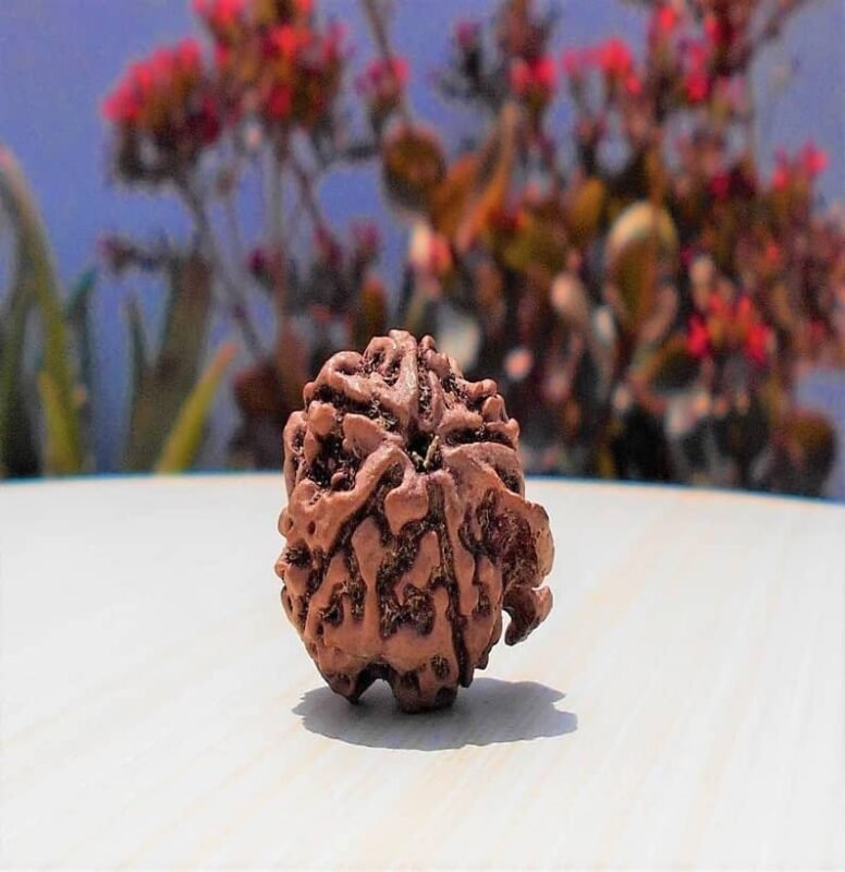 Ganesha Rudraksha Dana