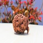 Nepali Ganesh Rudraksha